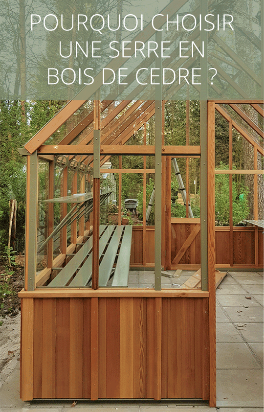 Pourquoi choisir une serre en bois de cèdre